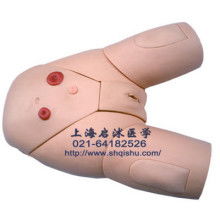 2019年医药教学器材市场报价分析与批发采购指南——以教育装备网第40页为例